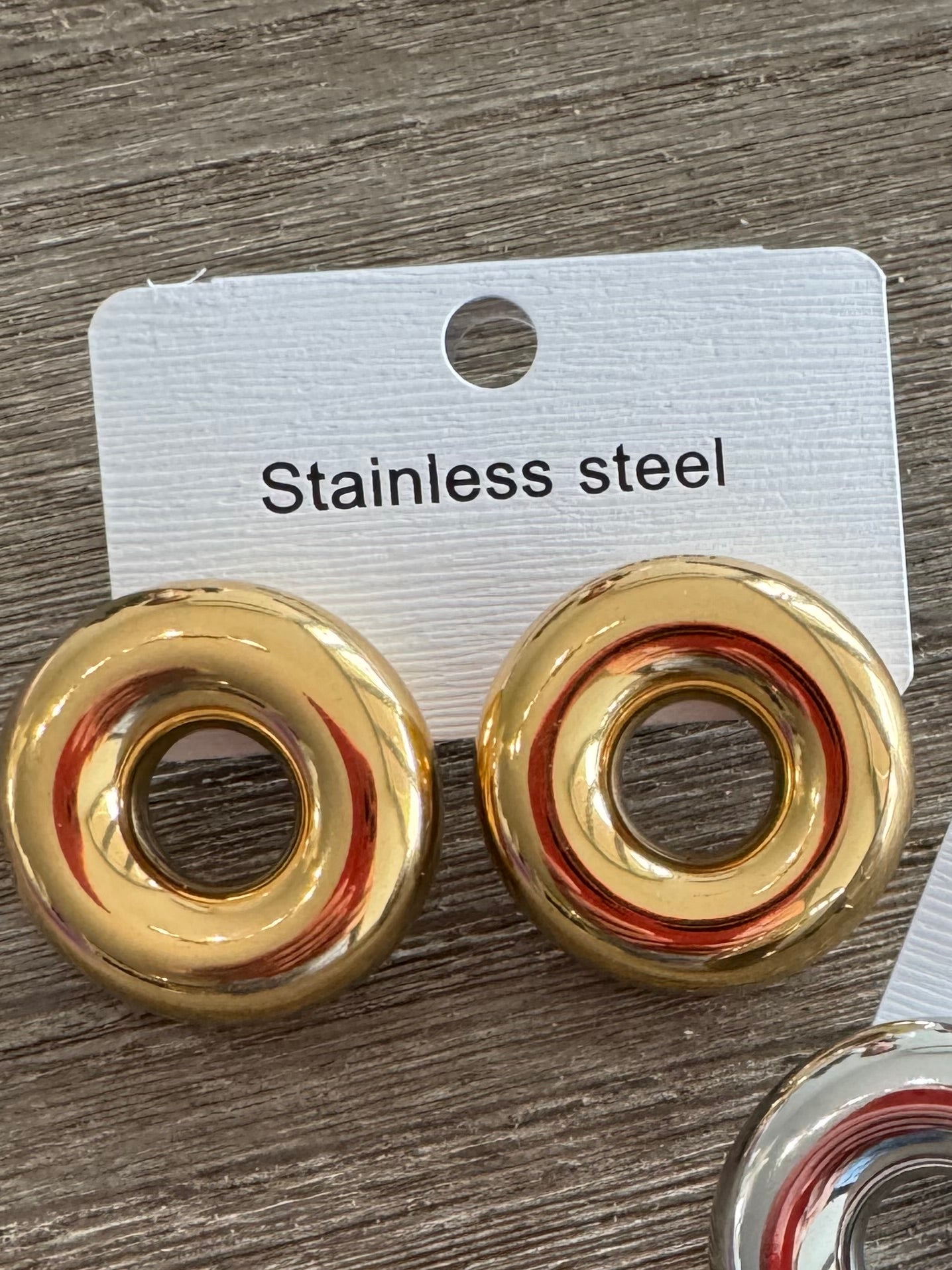 O Ring SS Earrings (Pick Color)