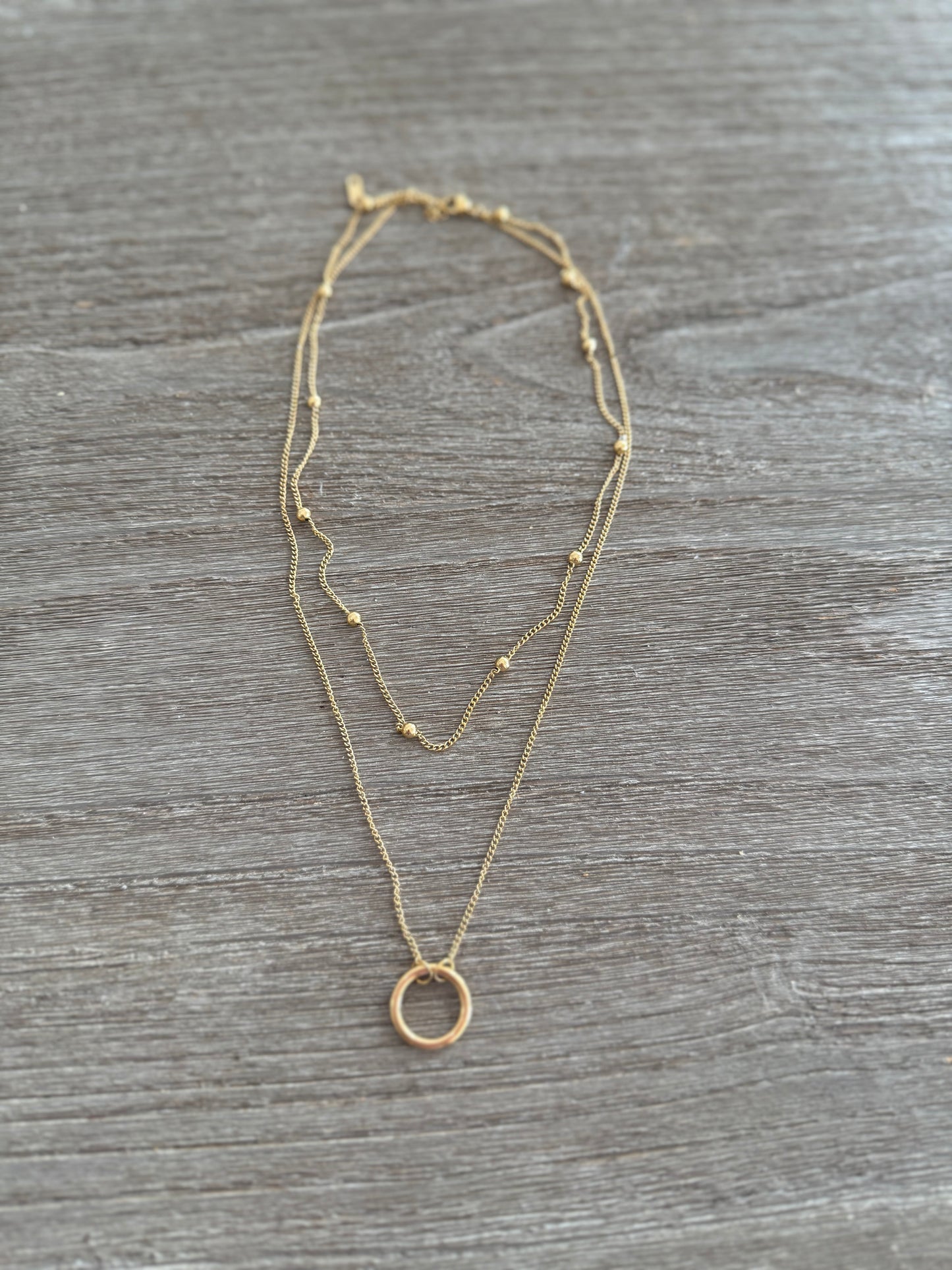Circle 2 Layers SS Necklace