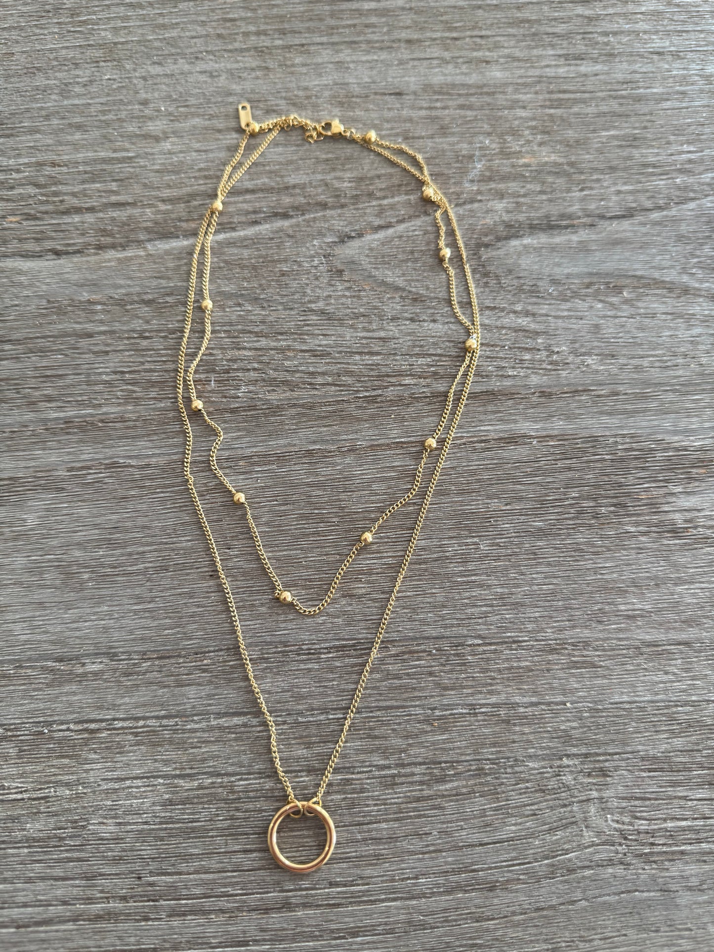 Circle 2 Layers SS Necklace