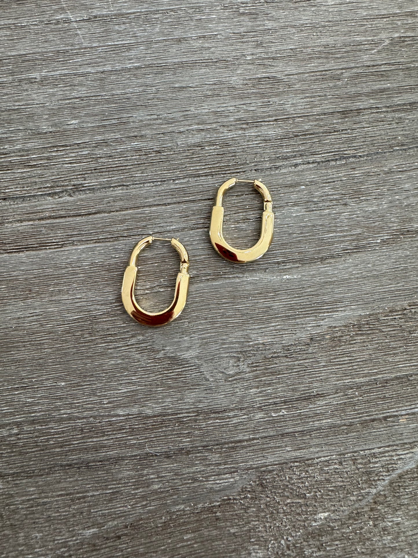 Lock Earrings