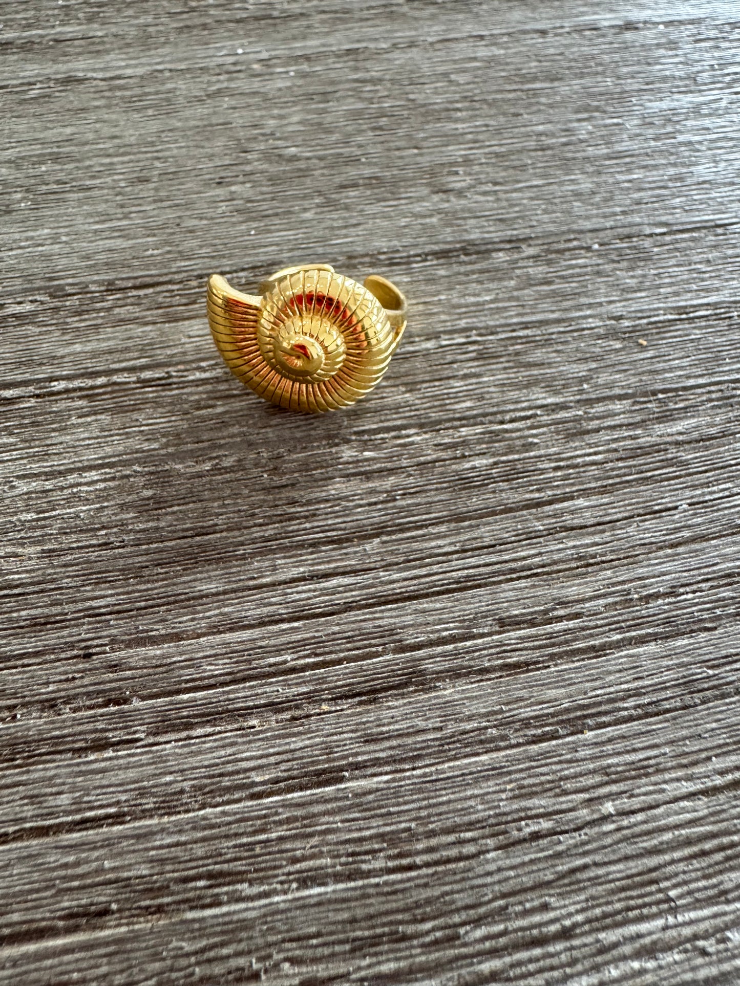 Seashell SS Ring