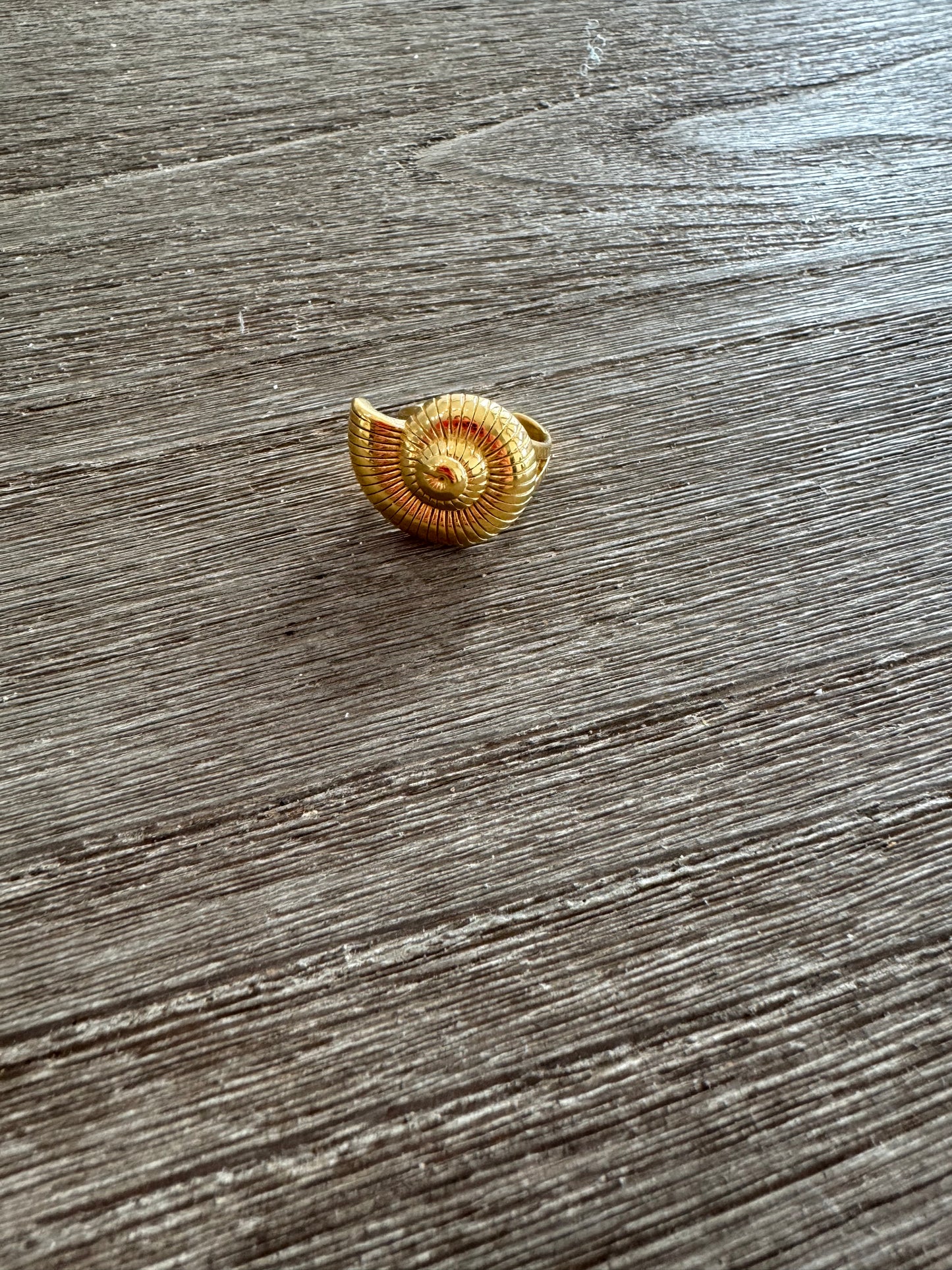 Seashell SS Ring