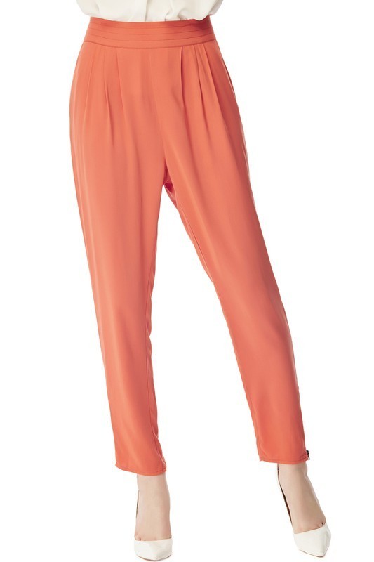 Pleated Pants
