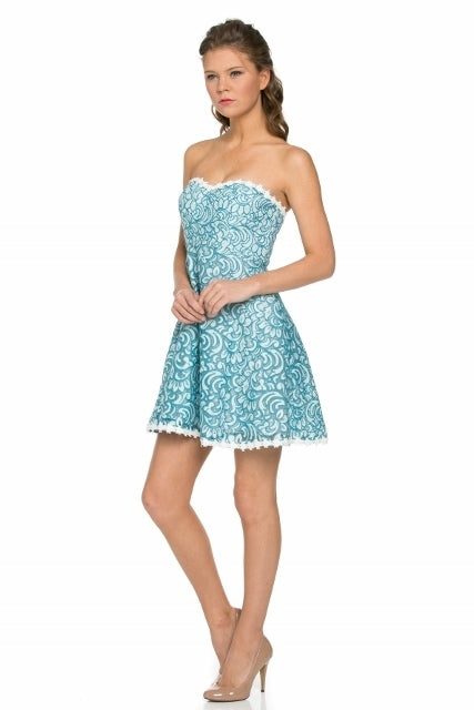 Sweet Heart Strapless Dress