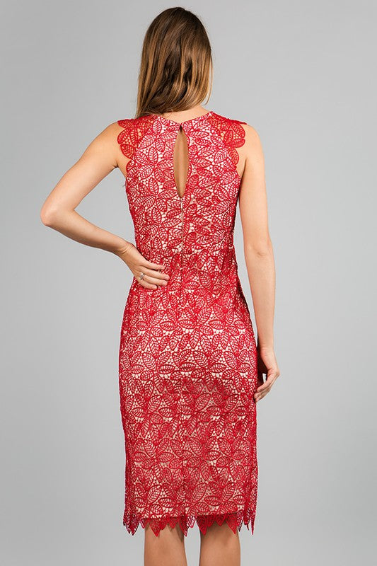 Leaf Lace Cocktail Dress