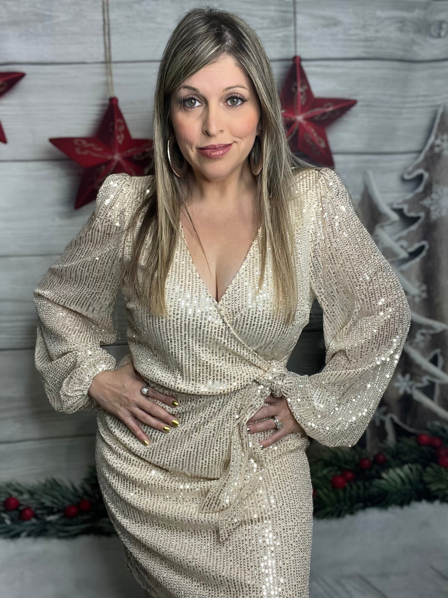 V-Neck Long Sleeve Sequin Midi Dress