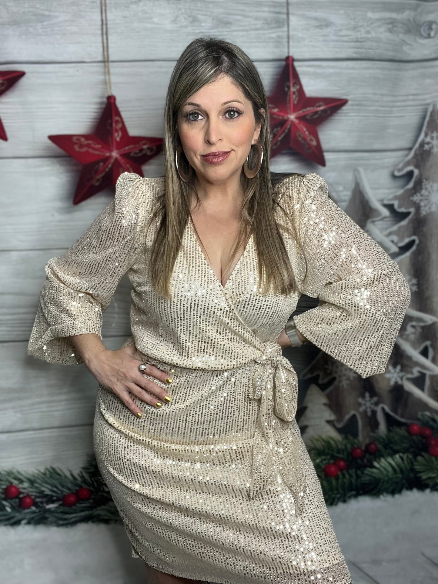 V-Neck Long Sleeve Sequin Midi Dress