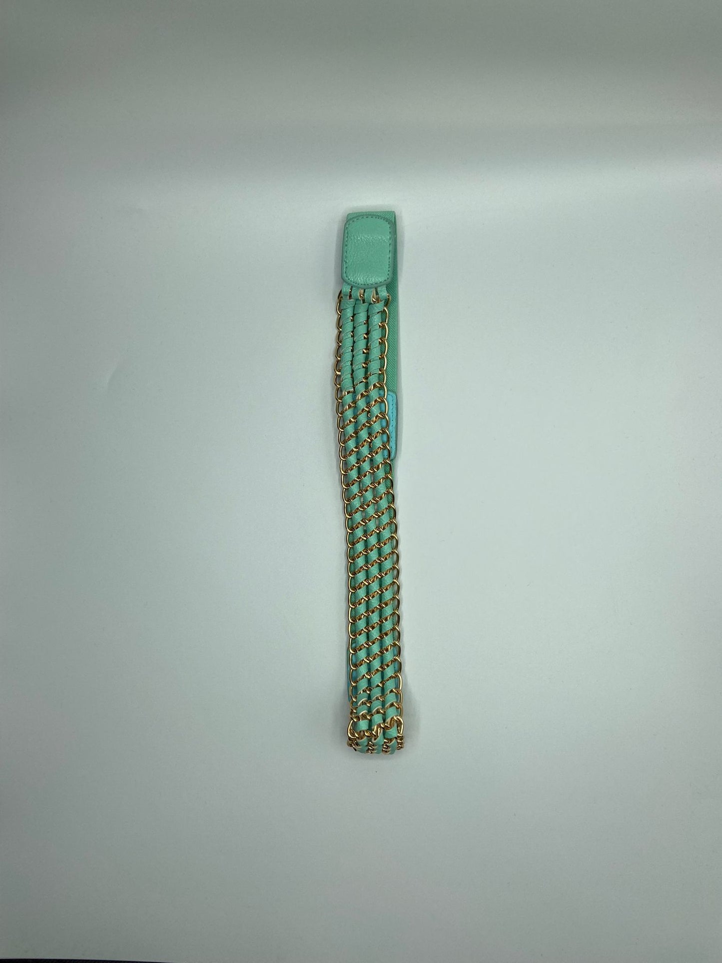 Gold Metal Elastic Belt (Pick Color)