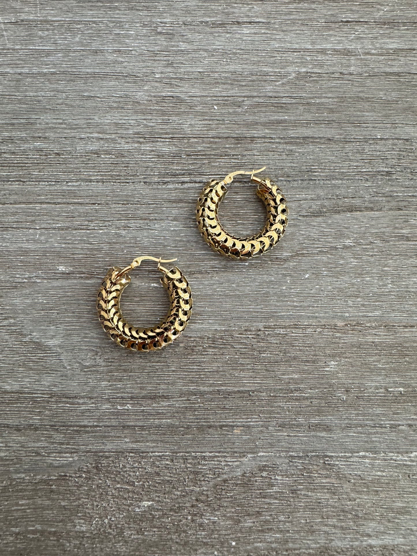 Hollow Hoops Earrings