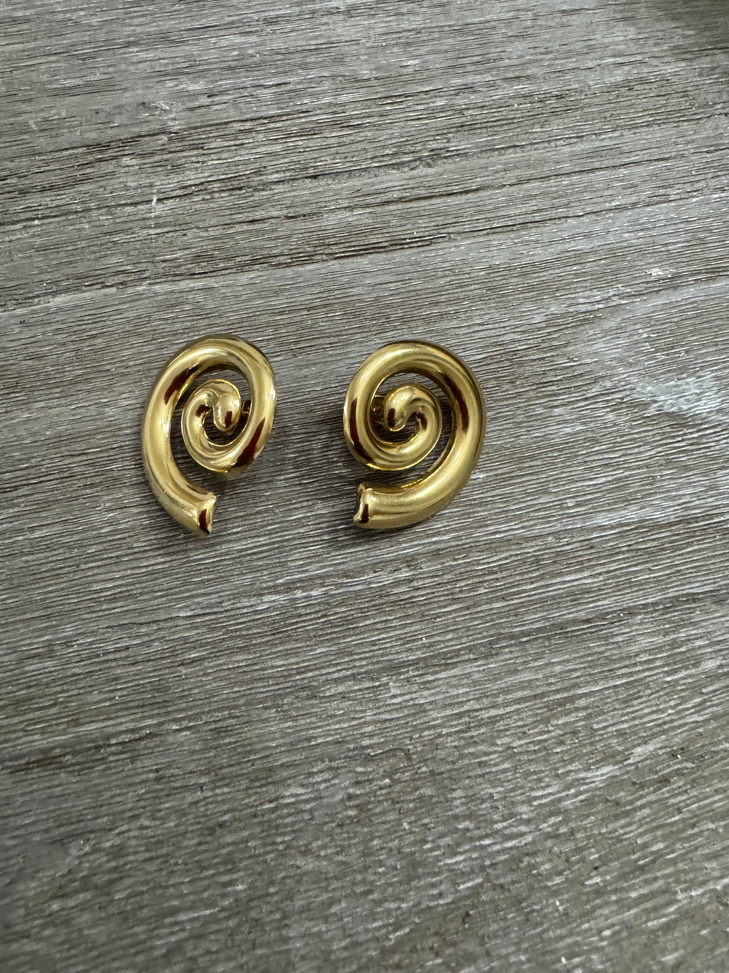 Vertigo SS Earrings