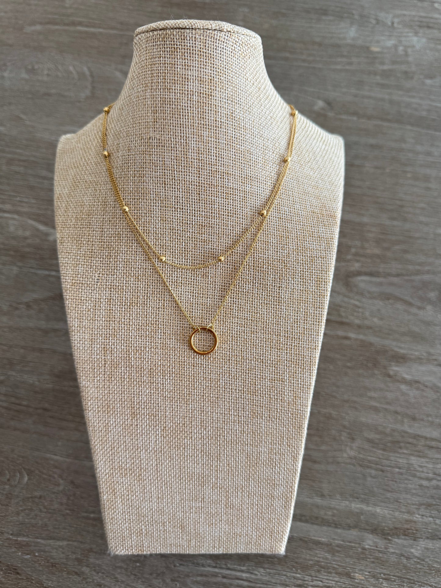 Circle 2 Layers SS Necklace