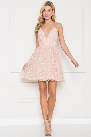 Blush Lace Cocktail Dress