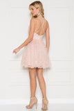 Blush Lace Cocktail Dress