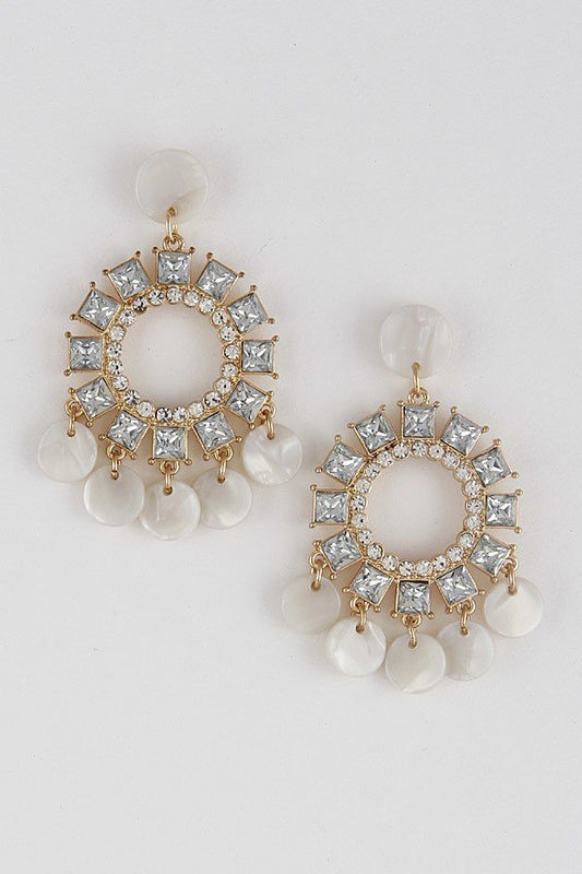 Luxury Stylistic Earrings